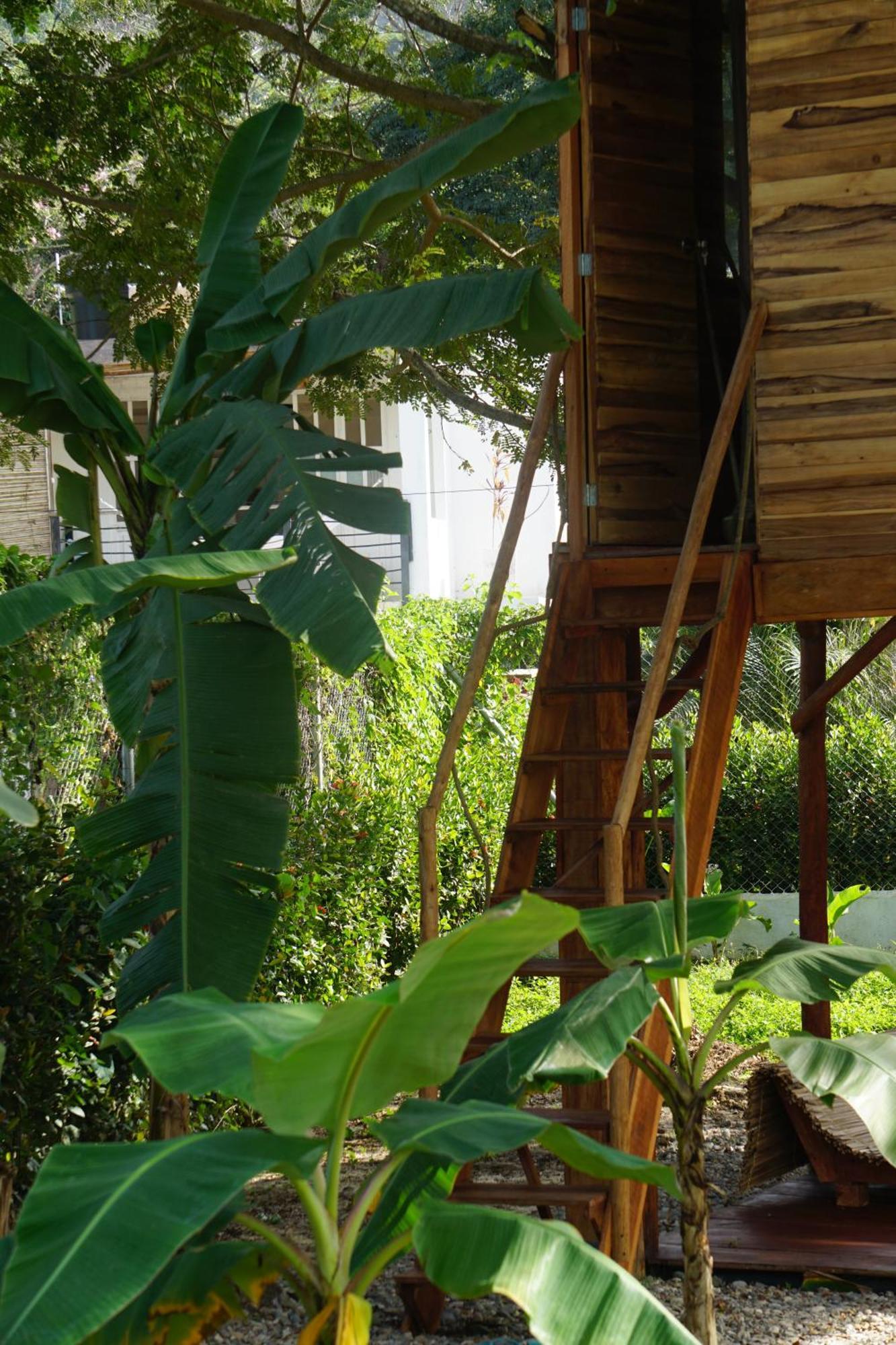 Atalaya Del Mar Palomino Hotel Exterior photo